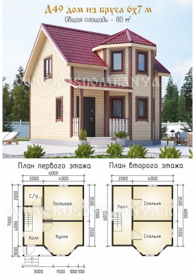 Проект Д49