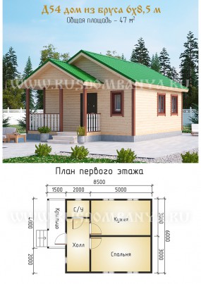 Проект Д54