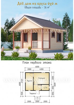 Проект Д61