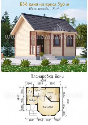 Проект Б30