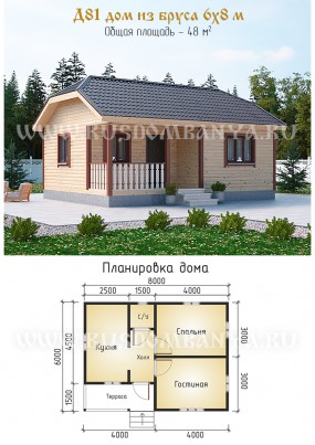 Проект Д81