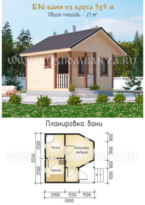 Проект Б36