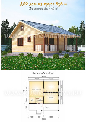 Проект Д89