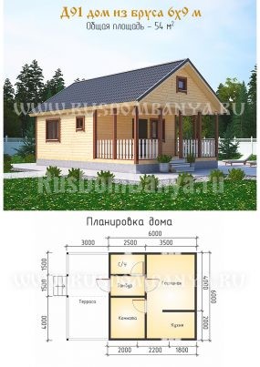 Проект Д91