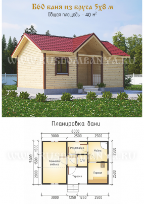 Проект Б60